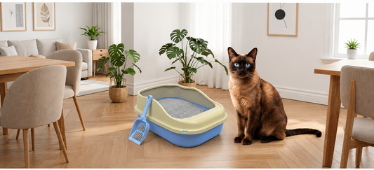 Arenero para gato + Pala